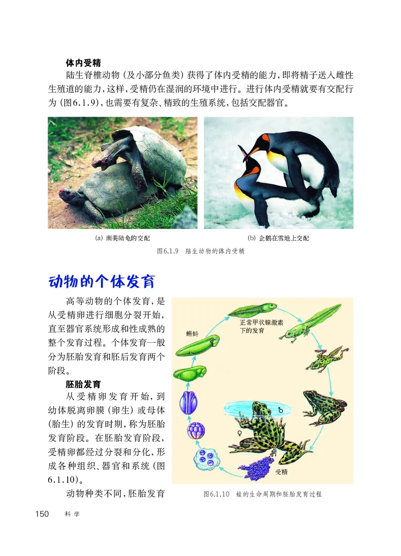 华师大7年级科学下册高清教材_4-教培资料-26年最新资料-同步更新_初中高中教资_03科三专项（进去保存报考的学科即可）_02科三专项（笔记真题思维导图教学设计版本二）