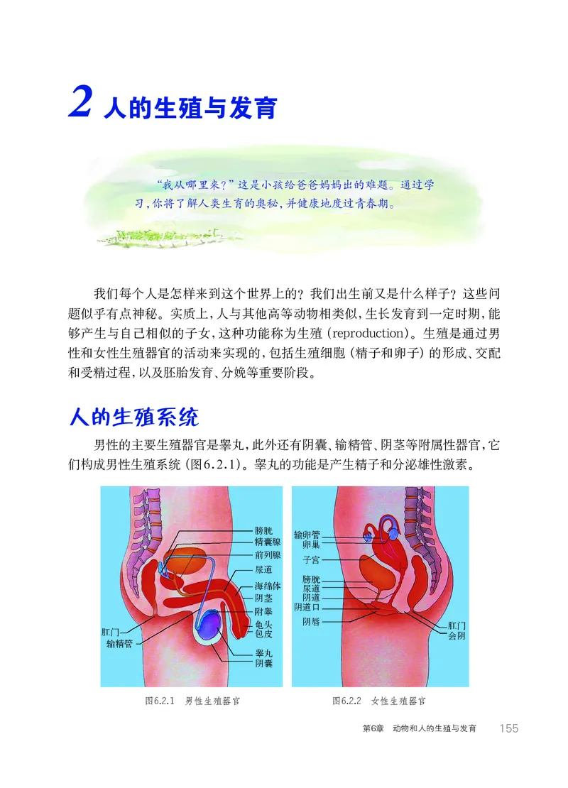 华师大7年级科学下册高清教材_4-教培资料-26年最新资料-同步更新_初中高中教资_03科三专项（进去保存报考的学科即可）_02科三专项（笔记真题思维导图教学设计版本二）