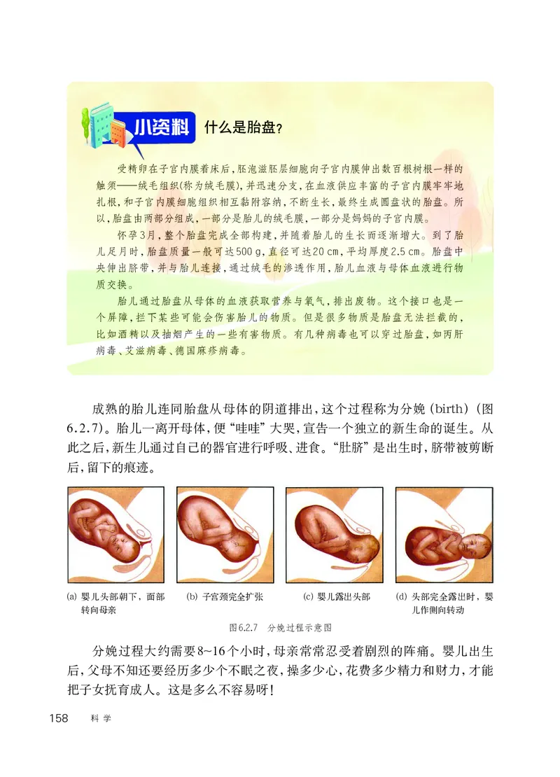 华师大7年级科学下册高清教材_4-教培资料-26年最新资料-同步更新_初中高中教资_03科三专项（进去保存报考的学科即可）_02科三专项（笔记真题思维导图教学设计版本二）