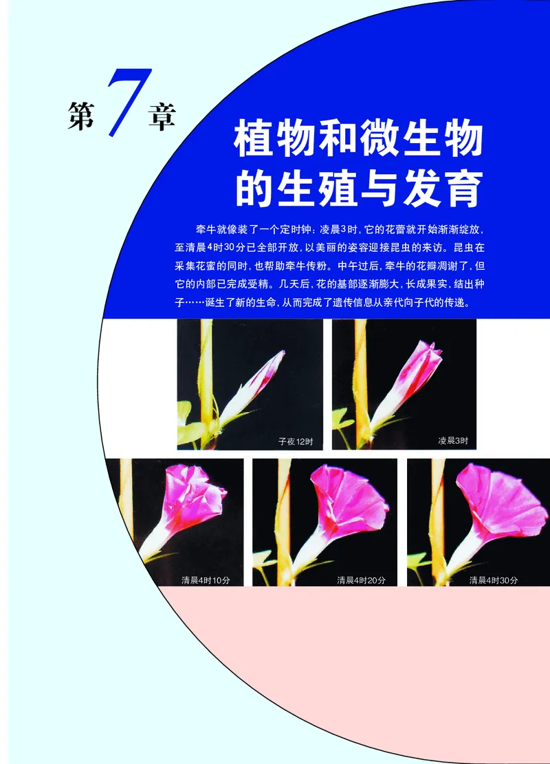 华师大7年级科学下册高清教材_4-教培资料-26年最新资料-同步更新_初中高中教资_03科三专项（进去保存报考的学科即可）_02科三专项（笔记真题思维导图教学设计版本二）