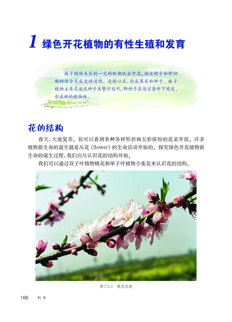 华师大7年级科学下册高清教材_4-教培资料-26年最新资料-同步更新_初中高中教资_03科三专项（进去保存报考的学科即可）_02科三专项（笔记真题思维导图教学设计版本二）