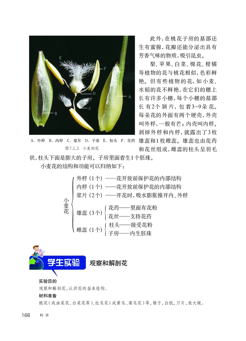 华师大7年级科学下册高清教材_4-教培资料-26年最新资料-同步更新_初中高中教资_03科三专项（进去保存报考的学科即可）_02科三专项（笔记真题思维导图教学设计版本二）