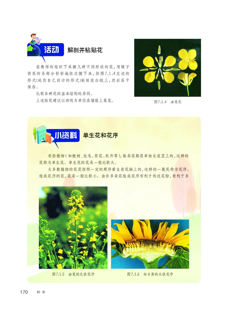 华师大7年级科学下册高清教材_4-教培资料-26年最新资料-同步更新_初中高中教资_03科三专项（进去保存报考的学科即可）_02科三专项（笔记真题思维导图教学设计版本二）