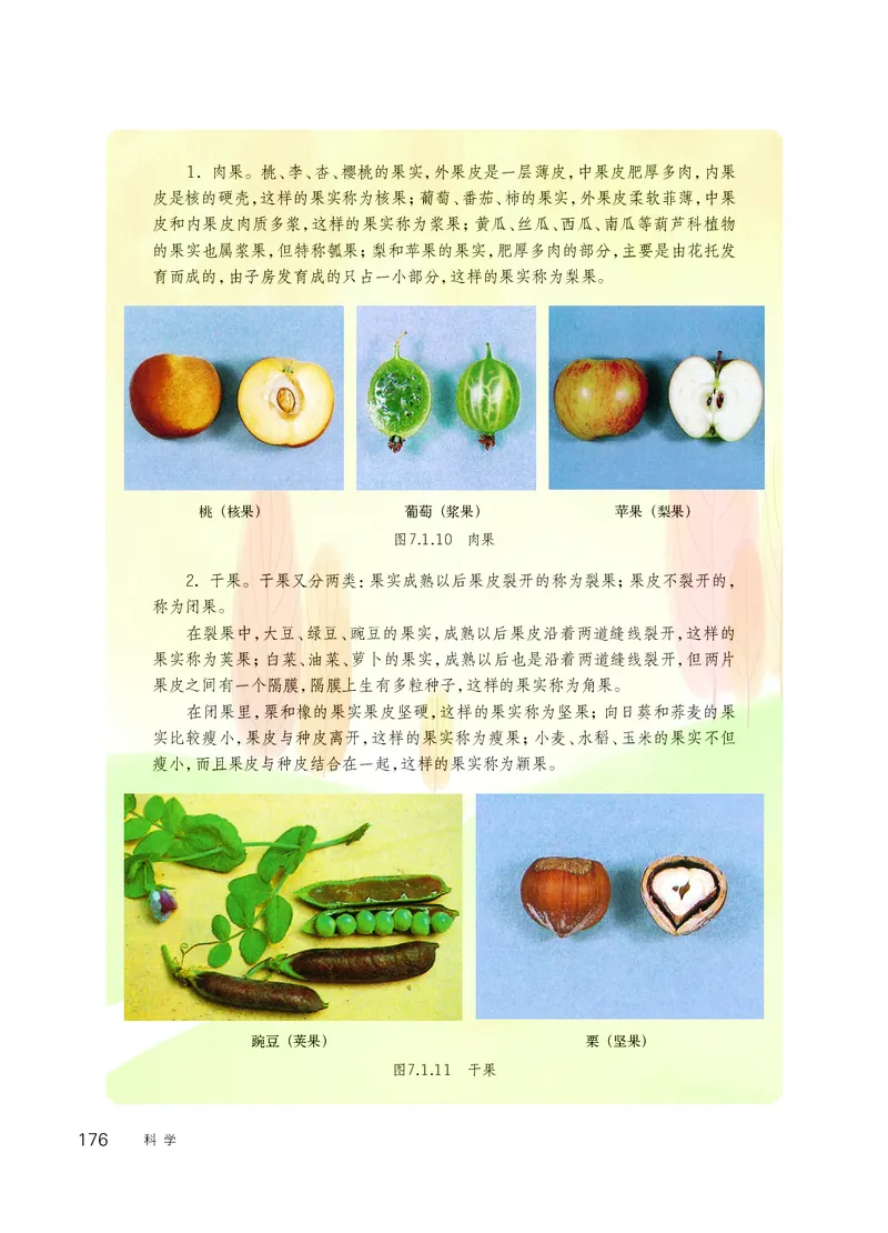 华师大7年级科学下册高清教材_4-教培资料-26年最新资料-同步更新_初中高中教资_03科三专项（进去保存报考的学科即可）_02科三专项（笔记真题思维导图教学设计版本二）