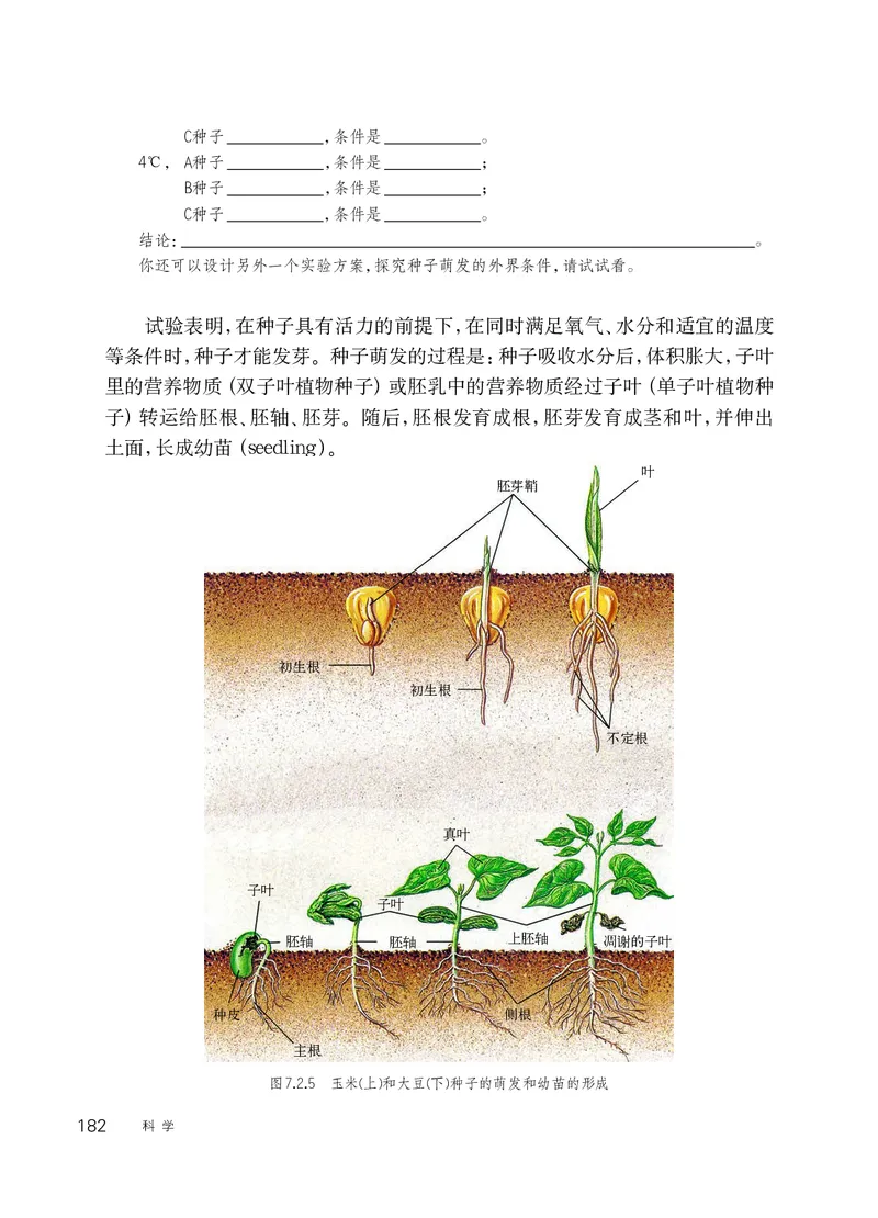 华师大7年级科学下册高清教材_4-教培资料-26年最新资料-同步更新_初中高中教资_03科三专项（进去保存报考的学科即可）_02科三专项（笔记真题思维导图教学设计版本二）