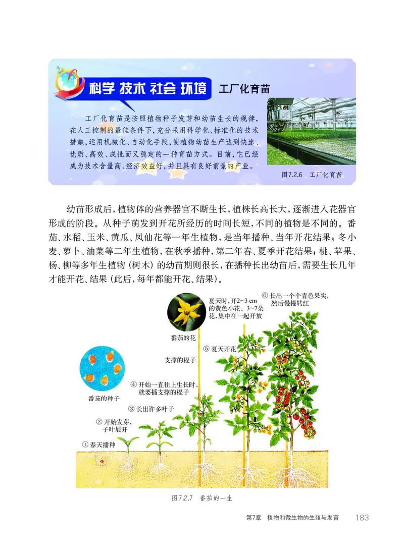 华师大7年级科学下册高清教材_4-教培资料-26年最新资料-同步更新_初中高中教资_03科三专项（进去保存报考的学科即可）_02科三专项（笔记真题思维导图教学设计版本二）