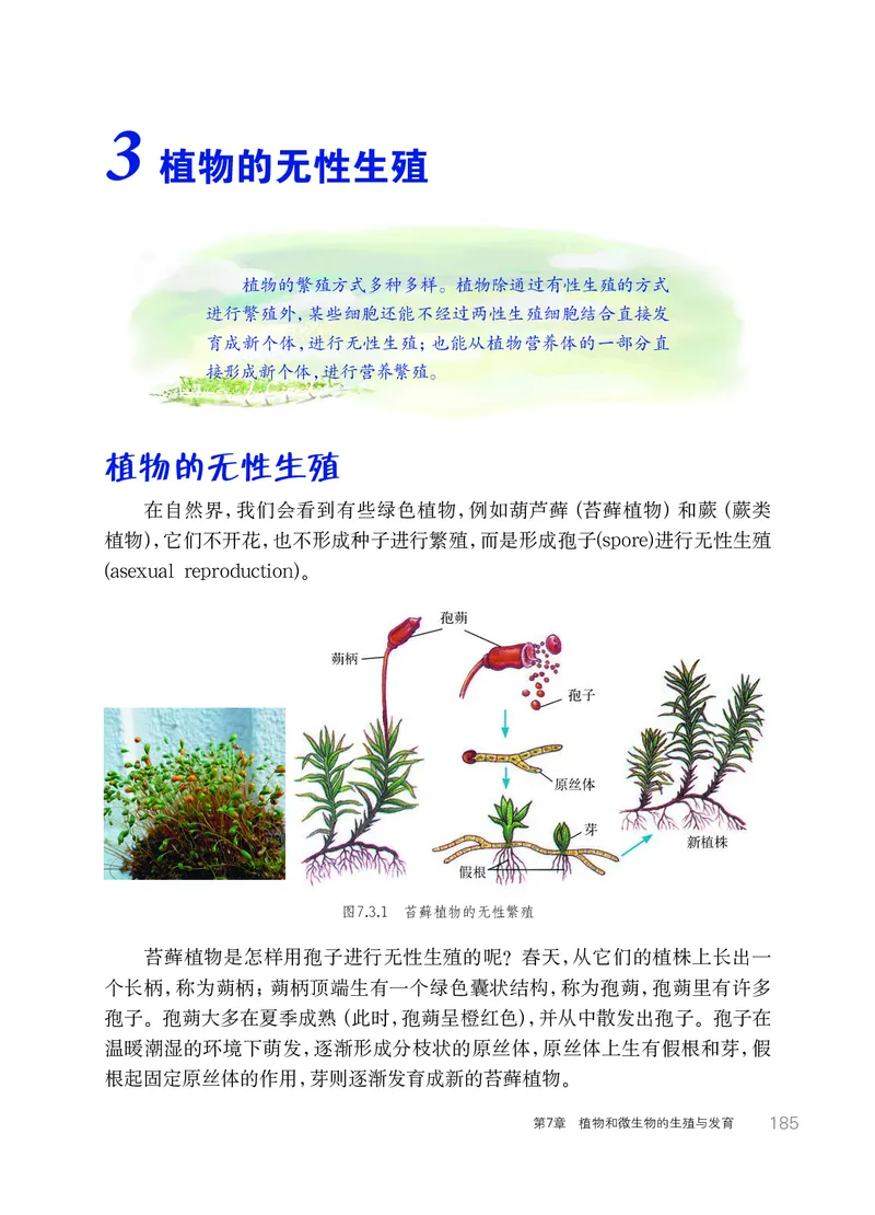 华师大7年级科学下册高清教材_4-教培资料-26年最新资料-同步更新_初中高中教资_03科三专项（进去保存报考的学科即可）_02科三专项（笔记真题思维导图教学设计版本二）