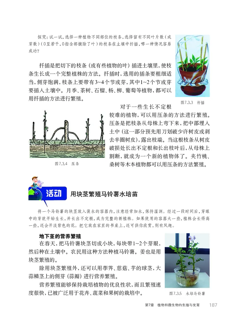 华师大7年级科学下册高清教材_4-教培资料-26年最新资料-同步更新_初中高中教资_03科三专项（进去保存报考的学科即可）_02科三专项（笔记真题思维导图教学设计版本二）