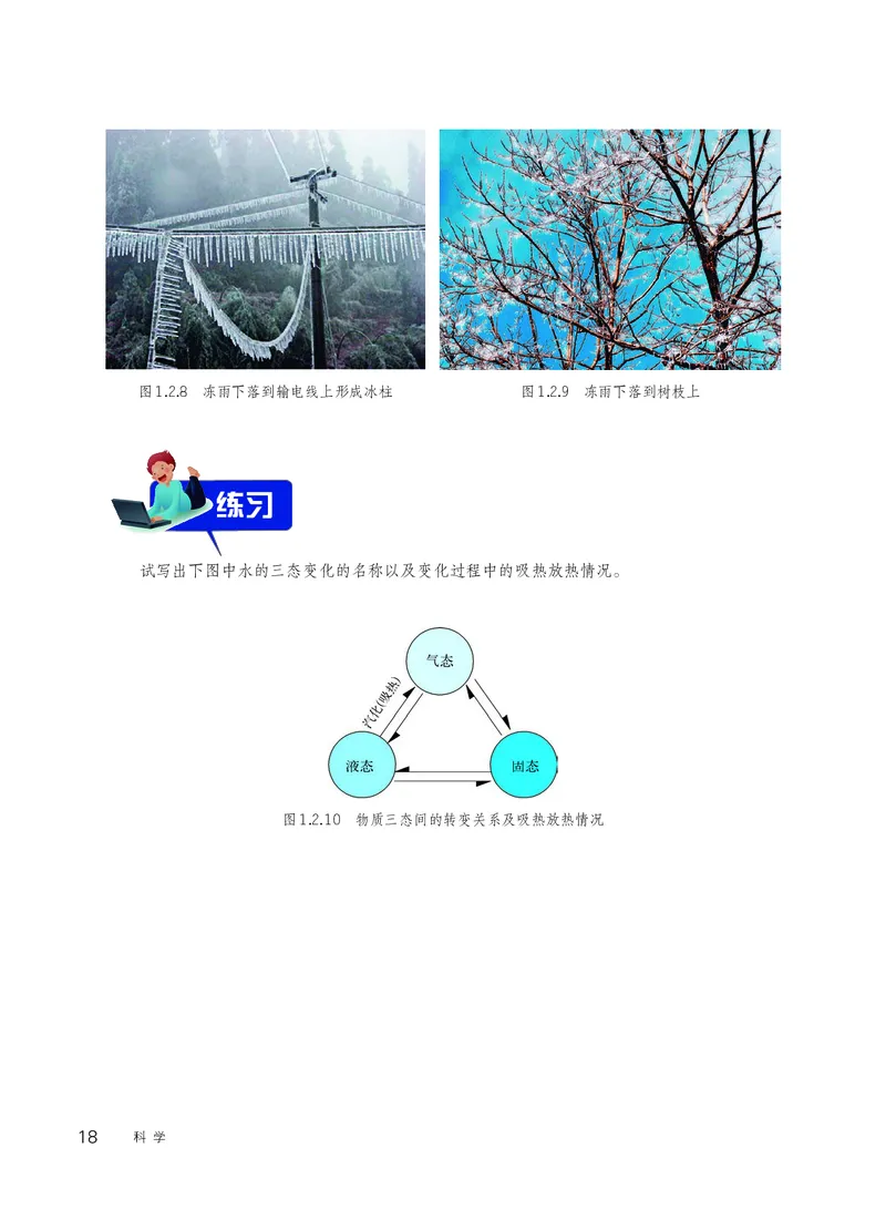 华师大7年级科学下册高清教材_4-教培资料-26年最新资料-同步更新_初中高中教资_03科三专项（进去保存报考的学科即可）_02科三专项（笔记真题思维导图教学设计版本二）