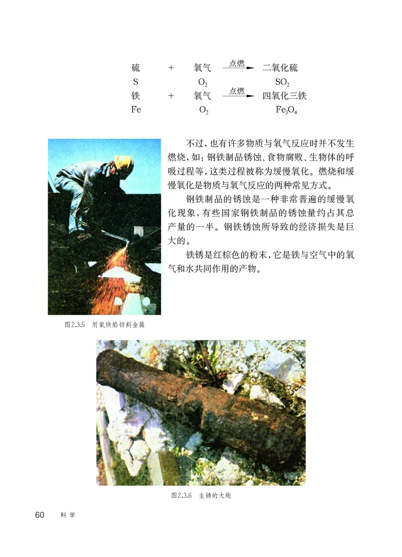 华师大7年级科学下册高清教材_4-教培资料-26年最新资料-同步更新_初中高中教资_03科三专项（进去保存报考的学科即可）_02科三专项（笔记真题思维导图教学设计版本二）