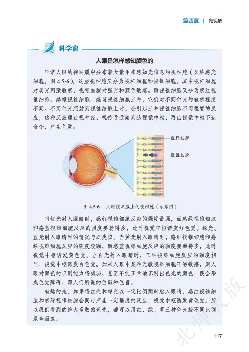北师大8年级物理上册高清教材主编：郭玉英_4-教培资料-26年最新资料-同步更新_初中高中教资_03科三专项（进去保存报考的学科即可）_102025初中科目（全）电子教材