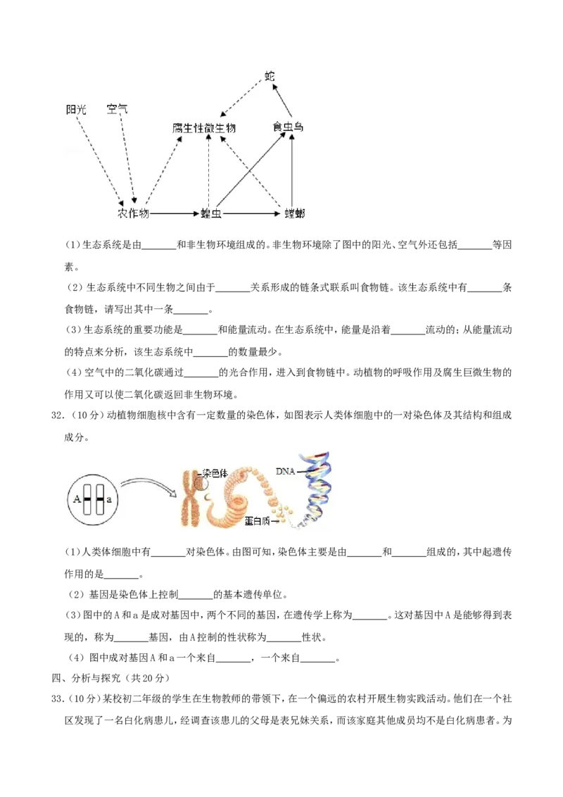 2019年四川省成都市中考生物真题及答案_中考真题_8.生物中考真题2015-2024年_地区卷_四川省_四川成都生物15-22