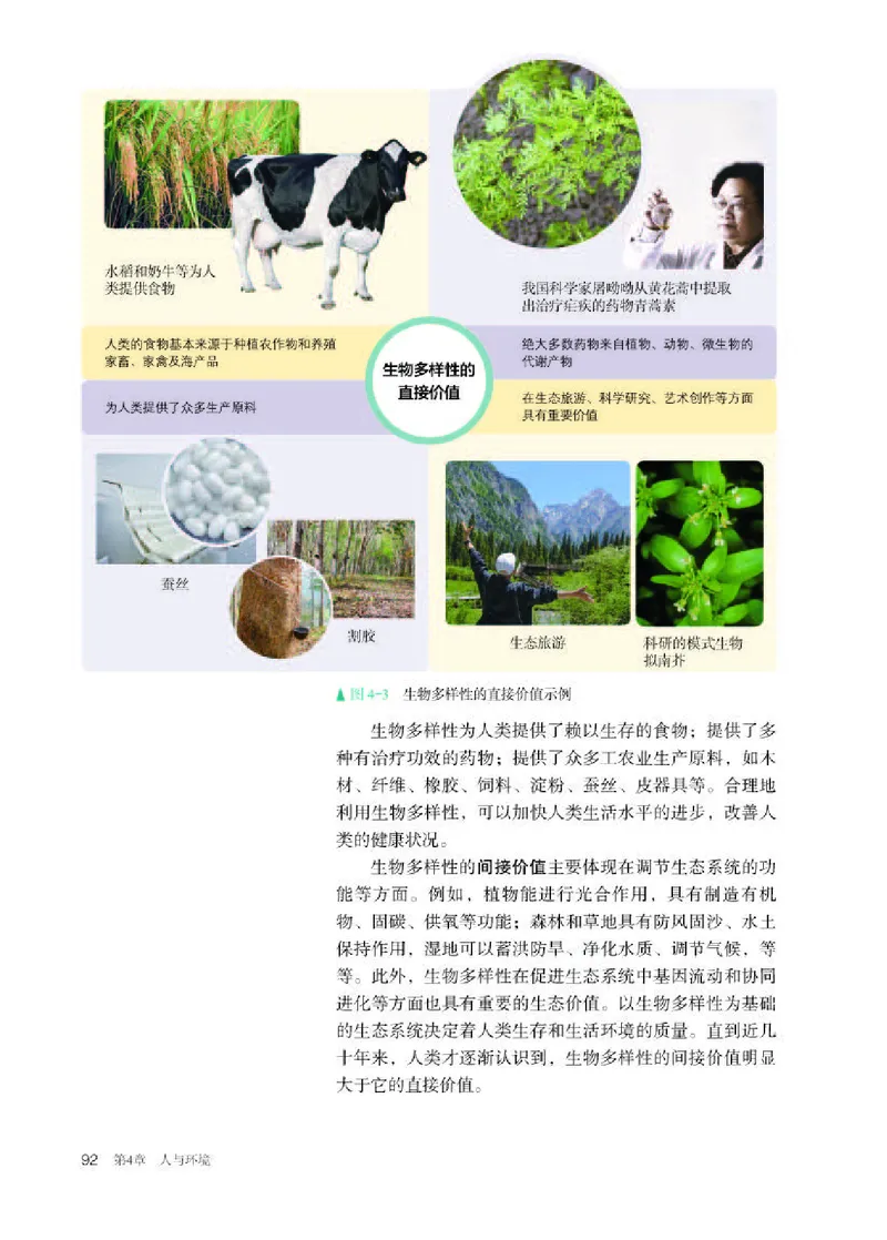 人教版生物选修2高清教材_4-教培资料-26年最新资料-同步更新_初中高中教资_03科三专项（进去保存报考的学科即可）_02科三专项（笔记真题思维导图教学设计版本二）