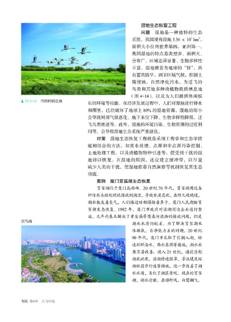 人教版生物选修2高清教材_4-教培资料-26年最新资料-同步更新_初中高中教资_03科三专项（进去保存报考的学科即可）_02科三专项（笔记真题思维导图教学设计版本二）