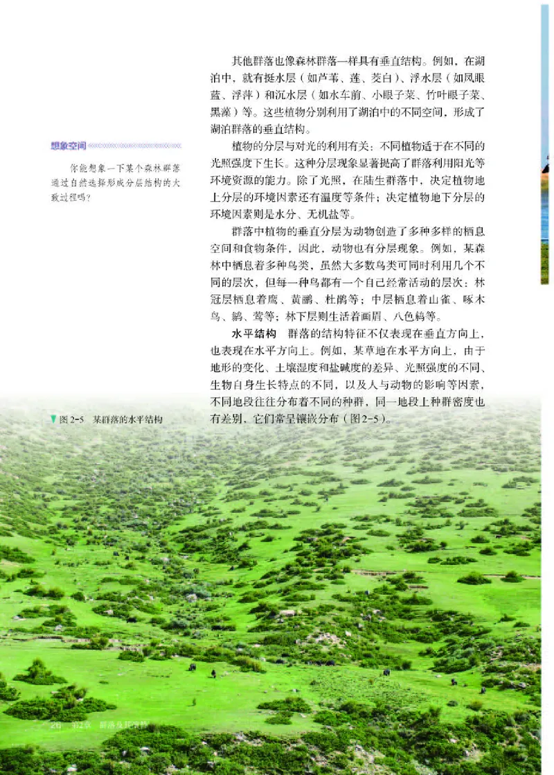 人教版生物选修2高清教材_4-教培资料-26年最新资料-同步更新_初中高中教资_03科三专项（进去保存报考的学科即可）_02科三专项（笔记真题思维导图教学设计版本二）