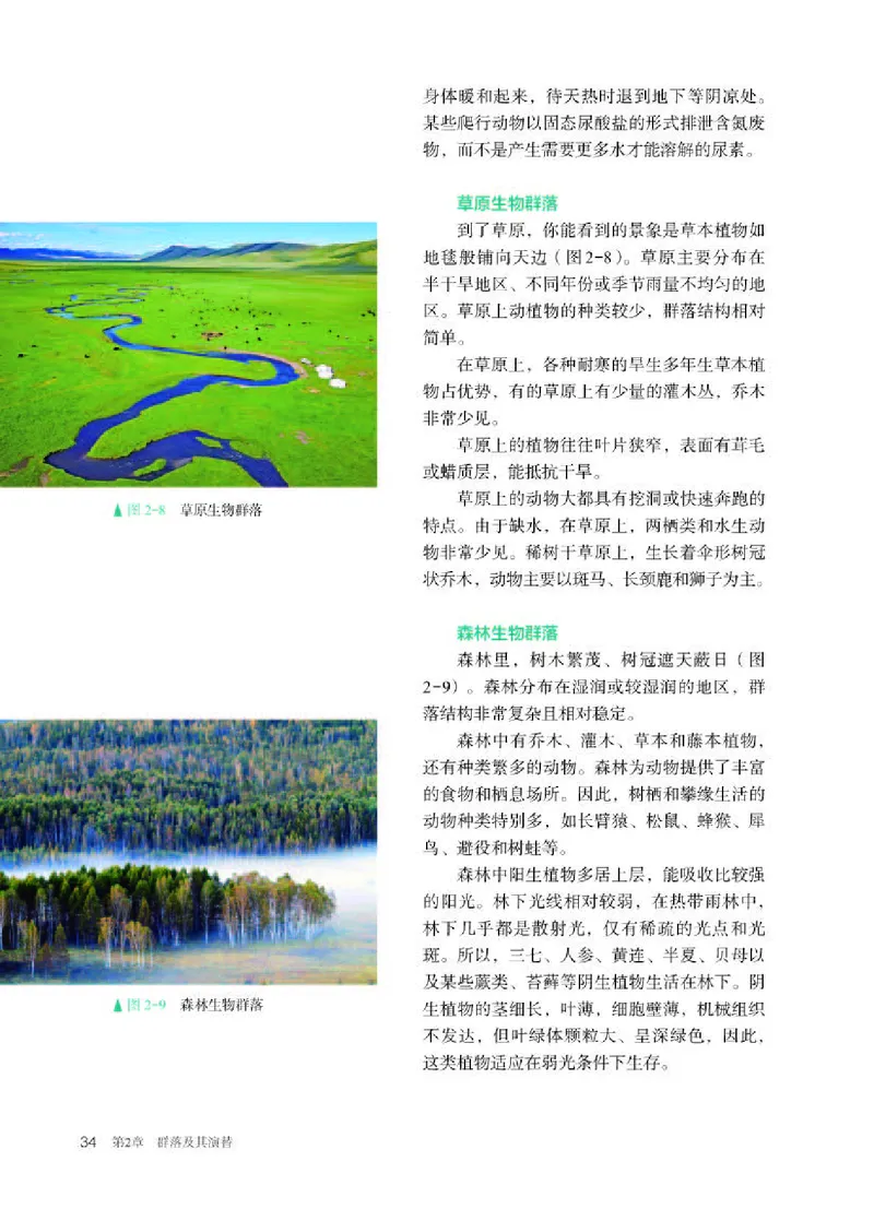 人教版生物选修2高清教材_4-教培资料-26年最新资料-同步更新_初中高中教资_03科三专项（进去保存报考的学科即可）_02科三专项（笔记真题思维导图教学设计版本二）