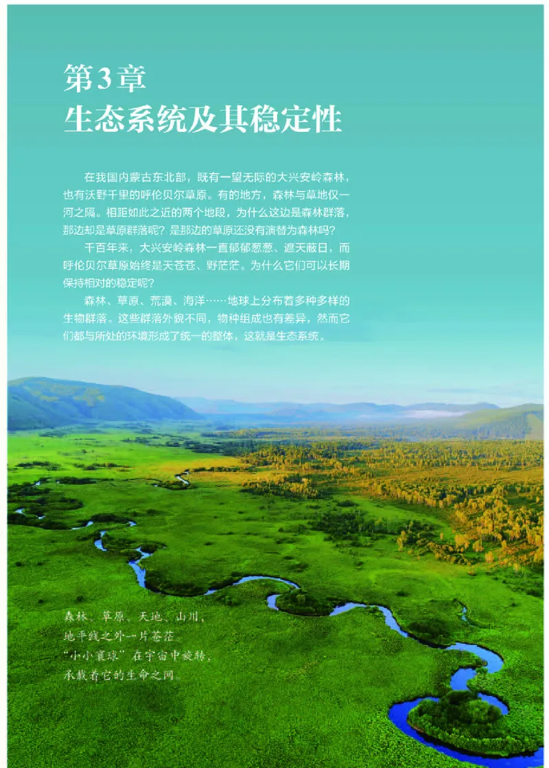 人教版生物选修2高清教材_4-教培资料-26年最新资料-同步更新_初中高中教资_03科三专项（进去保存报考的学科即可）_02科三专项（笔记真题思维导图教学设计版本二）