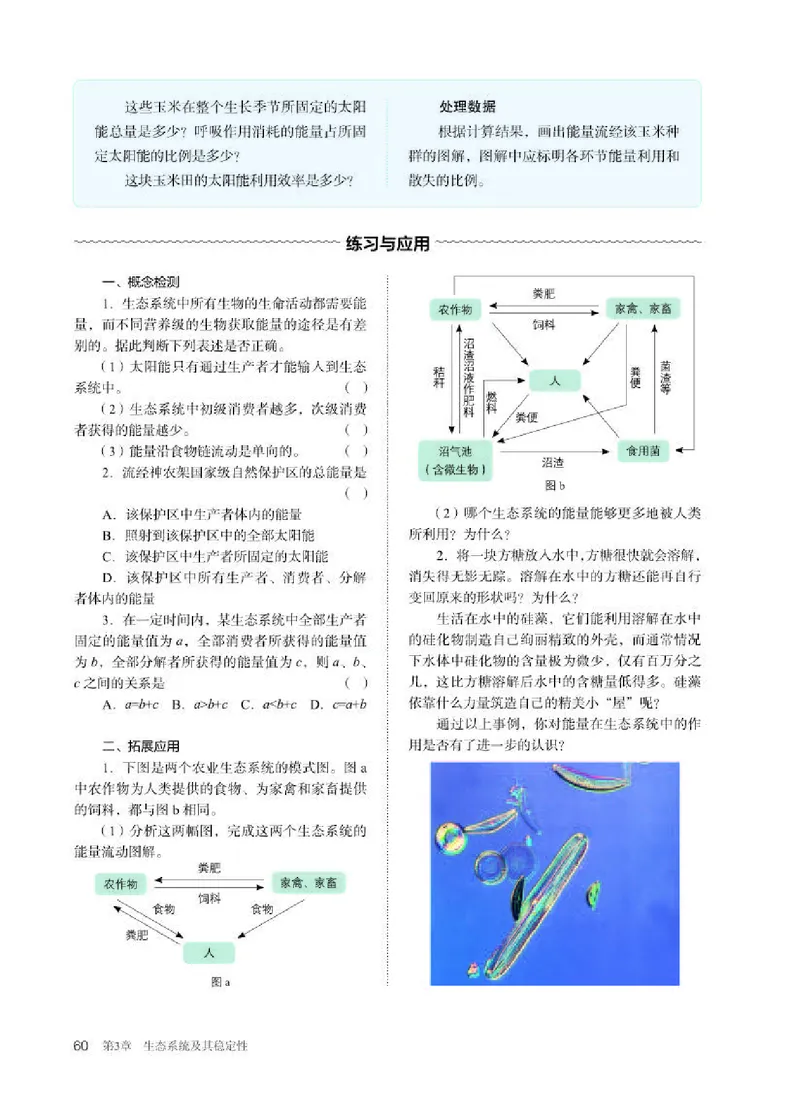 人教版生物选修2高清教材_4-教培资料-26年最新资料-同步更新_初中高中教资_03科三专项（进去保存报考的学科即可）_02科三专项（笔记真题思维导图教学设计版本二）
