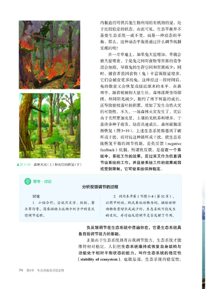 人教版生物选修2高清教材_4-教培资料-26年最新资料-同步更新_初中高中教资_03科三专项（进去保存报考的学科即可）_02科三专项（笔记真题思维导图教学设计版本二）