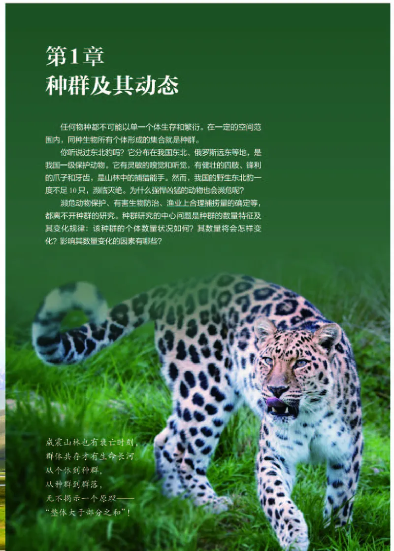 人教版生物选修2高清教材_4-教培资料-26年最新资料-同步更新_初中高中教资_03科三专项（进去保存报考的学科即可）_02科三专项（笔记真题思维导图教学设计版本二）