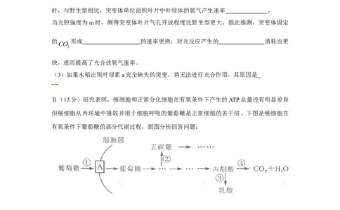 2012年高考生物试卷（四川）（解析卷）_1.高考2025全国各省真题+答案_01.2008-2024全国高考真题（按省份分类）_18.四川_2008-2024&middot;（四川）生物高考真题
