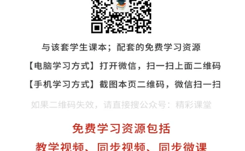 北师大生物必修2高清教材_4-教培资料-26年最新资料-同步更新_初中高中教资_03科三专项（进去保存报考的学科即可）_02科三专项（笔记真题思维导图教学设计版本二）