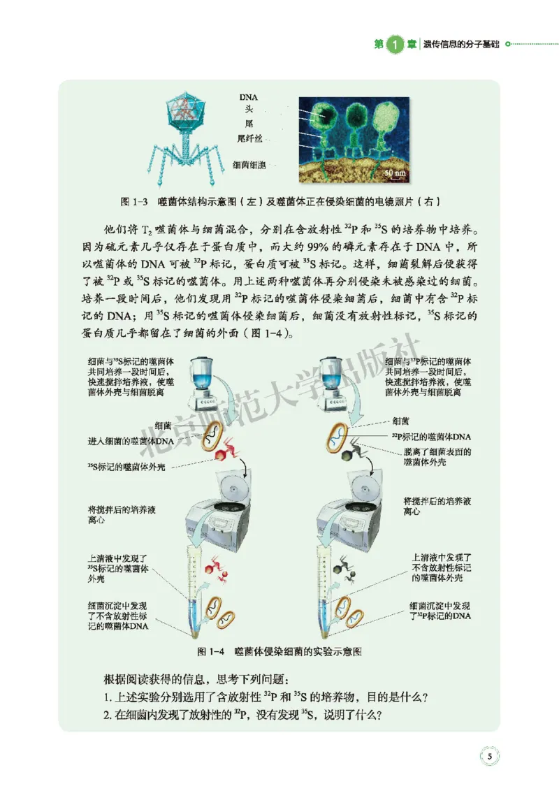 北师大生物必修2高清教材_4-教培资料-26年最新资料-同步更新_初中高中教资_03科三专项（进去保存报考的学科即可）_02科三专项（笔记真题思维导图教学设计版本二）