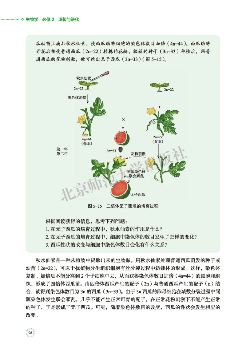 北师大生物必修2高清教材_4-教培资料-26年最新资料-同步更新_初中高中教资_03科三专项（进去保存报考的学科即可）_02科三专项（笔记真题思维导图教学设计版本二）