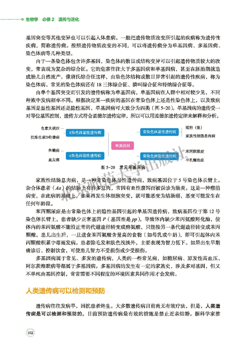 北师大生物必修2高清教材_4-教培资料-26年最新资料-同步更新_初中高中教资_03科三专项（进去保存报考的学科即可）_02科三专项（笔记真题思维导图教学设计版本二）