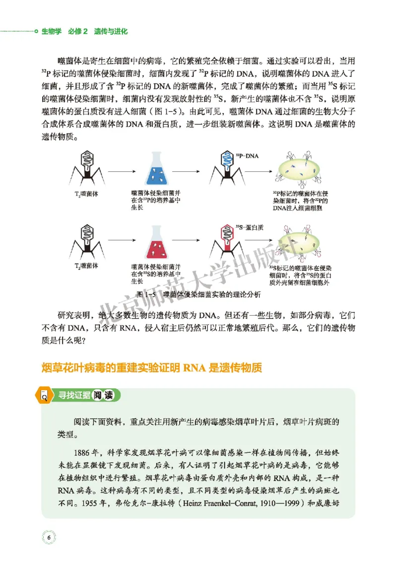 北师大生物必修2高清教材_4-教培资料-26年最新资料-同步更新_初中高中教资_03科三专项（进去保存报考的学科即可）_02科三专项（笔记真题思维导图教学设计版本二）