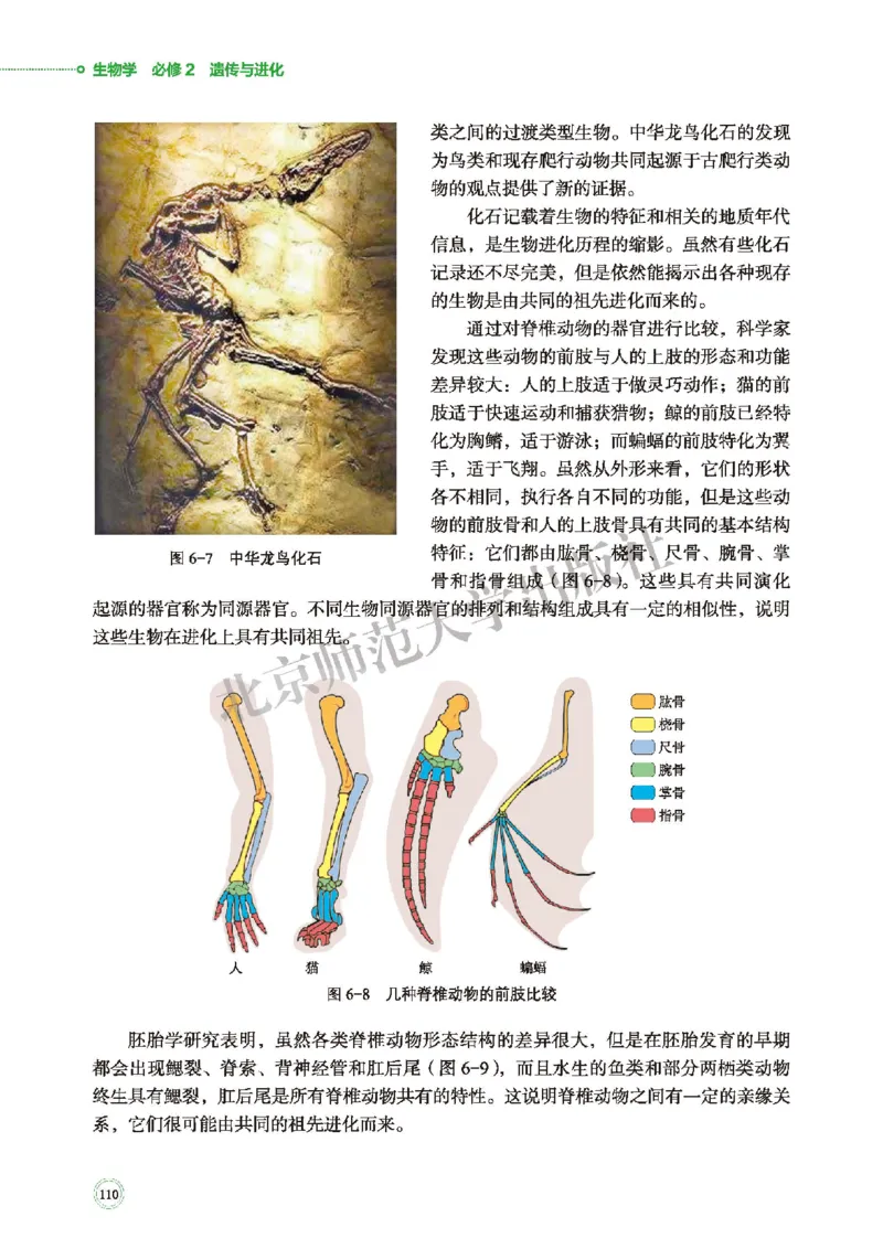 北师大生物必修2高清教材_4-教培资料-26年最新资料-同步更新_初中高中教资_03科三专项（进去保存报考的学科即可）_02科三专项（笔记真题思维导图教学设计版本二）