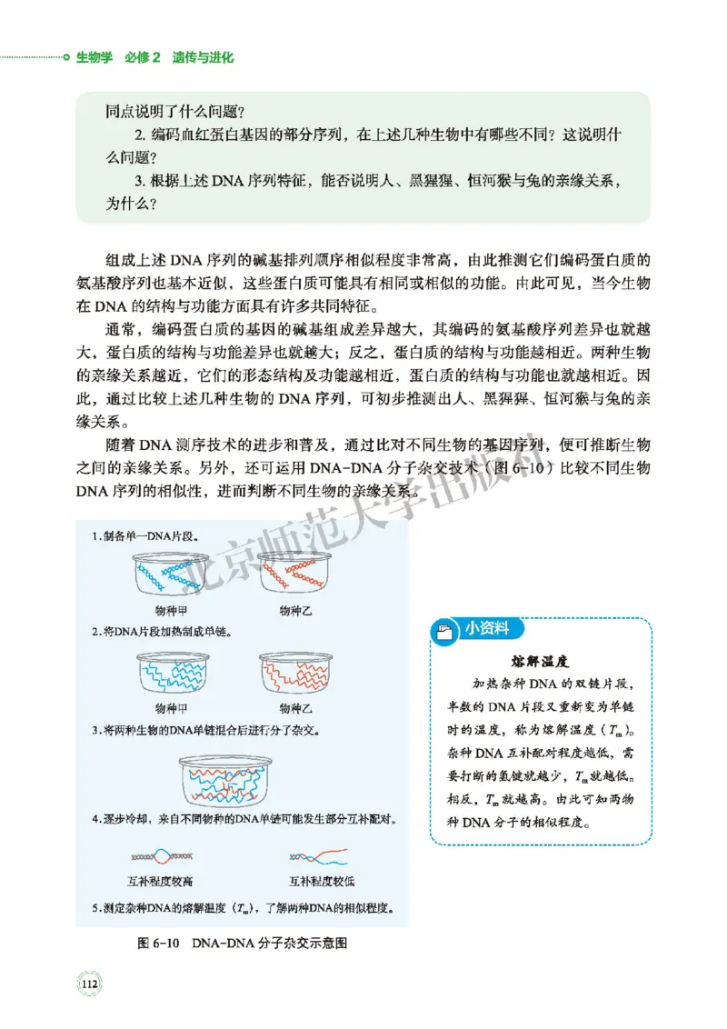 北师大生物必修2高清教材_4-教培资料-26年最新资料-同步更新_初中高中教资_03科三专项（进去保存报考的学科即可）_02科三专项（笔记真题思维导图教学设计版本二）