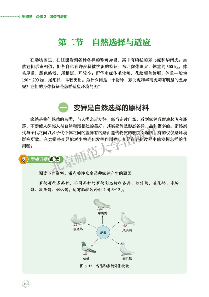 北师大生物必修2高清教材_4-教培资料-26年最新资料-同步更新_初中高中教资_03科三专项（进去保存报考的学科即可）_02科三专项（笔记真题思维导图教学设计版本二）