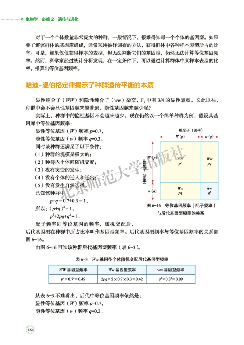 北师大生物必修2高清教材_4-教培资料-26年最新资料-同步更新_初中高中教资_03科三专项（进去保存报考的学科即可）_02科三专项（笔记真题思维导图教学设计版本二）