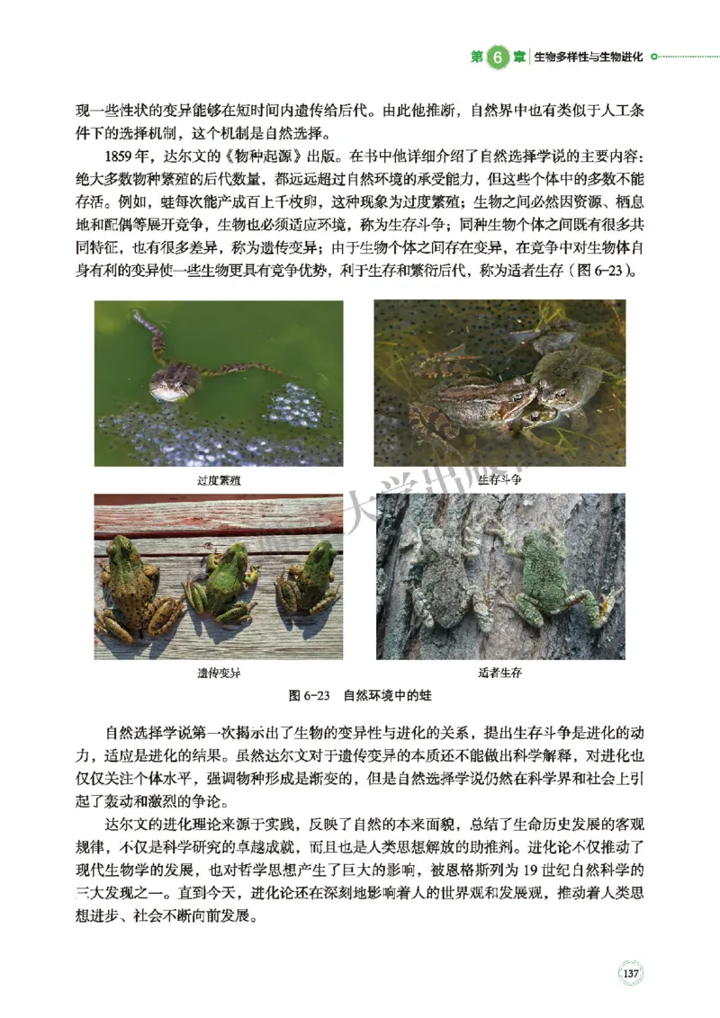 北师大生物必修2高清教材_4-教培资料-26年最新资料-同步更新_初中高中教资_03科三专项（进去保存报考的学科即可）_02科三专项（笔记真题思维导图教学设计版本二）