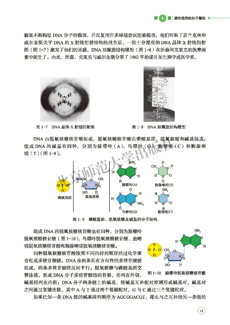 北师大生物必修2高清教材_4-教培资料-26年最新资料-同步更新_初中高中教资_03科三专项（进去保存报考的学科即可）_02科三专项（笔记真题思维导图教学设计版本二）