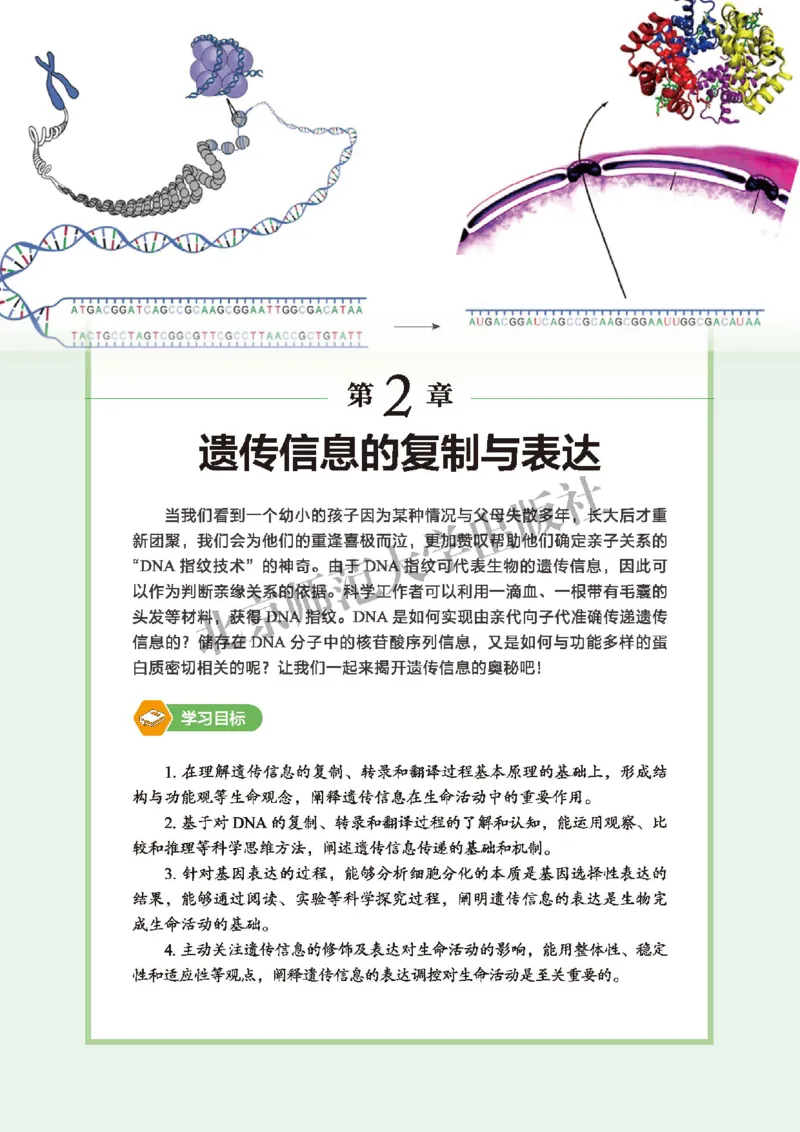 北师大生物必修2高清教材_4-教培资料-26年最新资料-同步更新_初中高中教资_03科三专项（进去保存报考的学科即可）_02科三专项（笔记真题思维导图教学设计版本二）