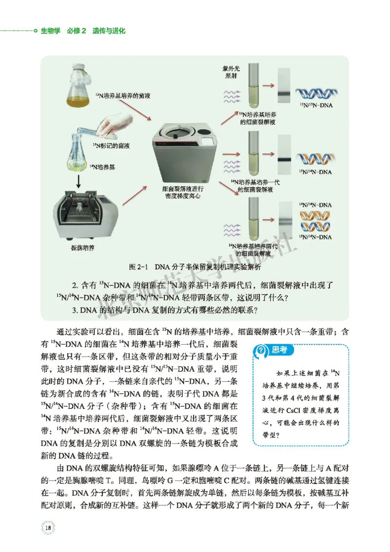北师大生物必修2高清教材_4-教培资料-26年最新资料-同步更新_初中高中教资_03科三专项（进去保存报考的学科即可）_02科三专项（笔记真题思维导图教学设计版本二）