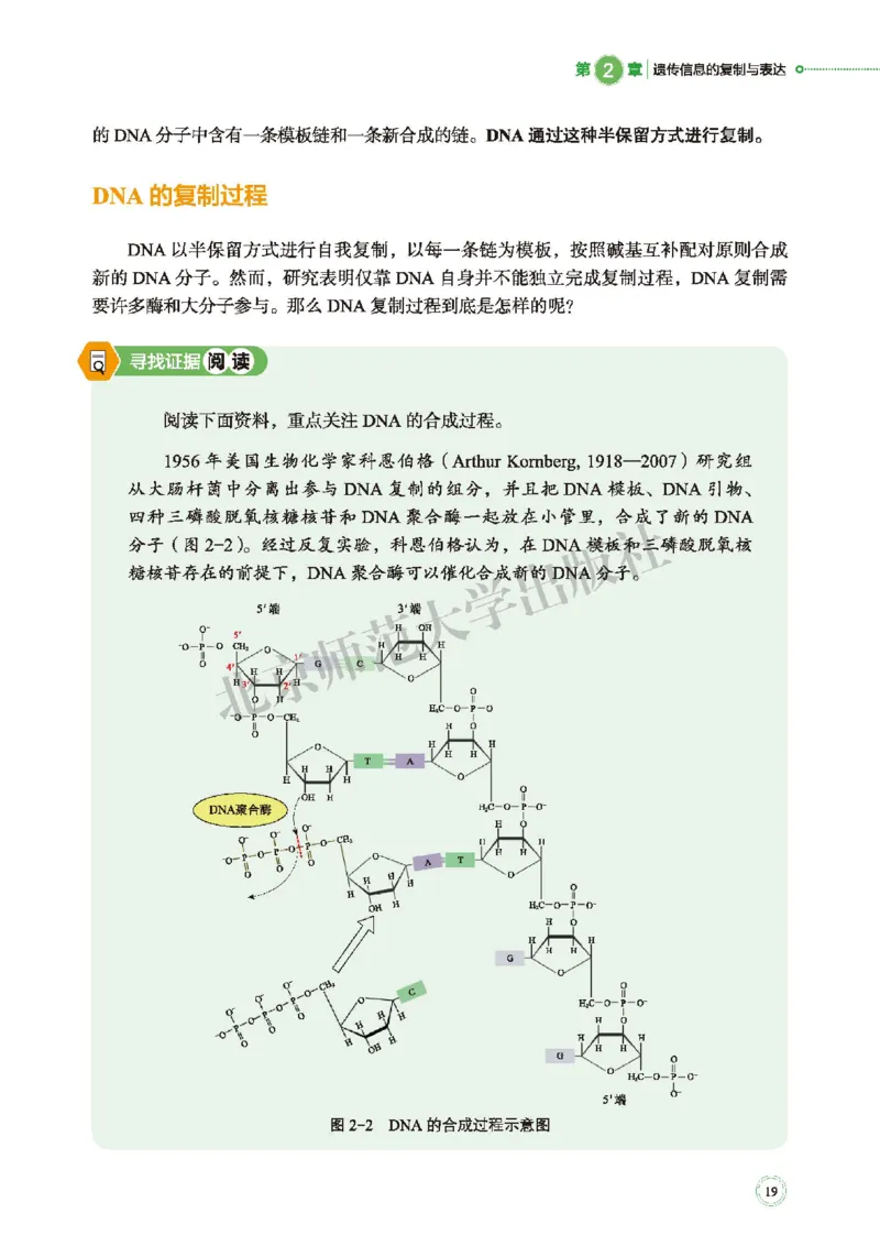 北师大生物必修2高清教材_4-教培资料-26年最新资料-同步更新_初中高中教资_03科三专项（进去保存报考的学科即可）_02科三专项（笔记真题思维导图教学设计版本二）