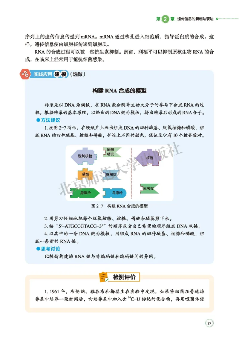 北师大生物必修2高清教材_4-教培资料-26年最新资料-同步更新_初中高中教资_03科三专项（进去保存报考的学科即可）_02科三专项（笔记真题思维导图教学设计版本二）