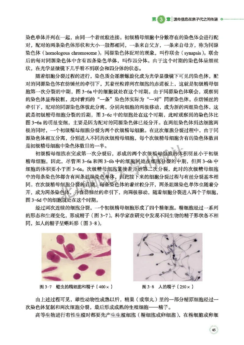 北师大生物必修2高清教材_4-教培资料-26年最新资料-同步更新_初中高中教资_03科三专项（进去保存报考的学科即可）_02科三专项（笔记真题思维导图教学设计版本二）