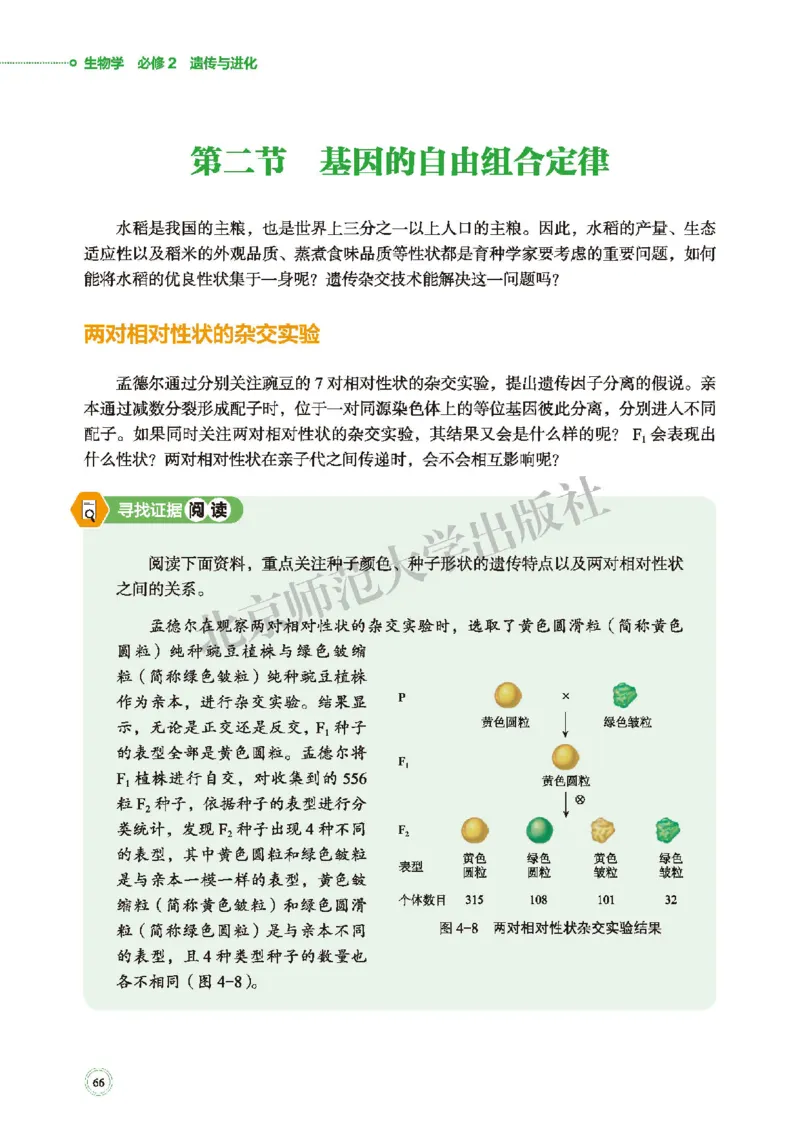 北师大生物必修2高清教材_4-教培资料-26年最新资料-同步更新_初中高中教资_03科三专项（进去保存报考的学科即可）_02科三专项（笔记真题思维导图教学设计版本二）