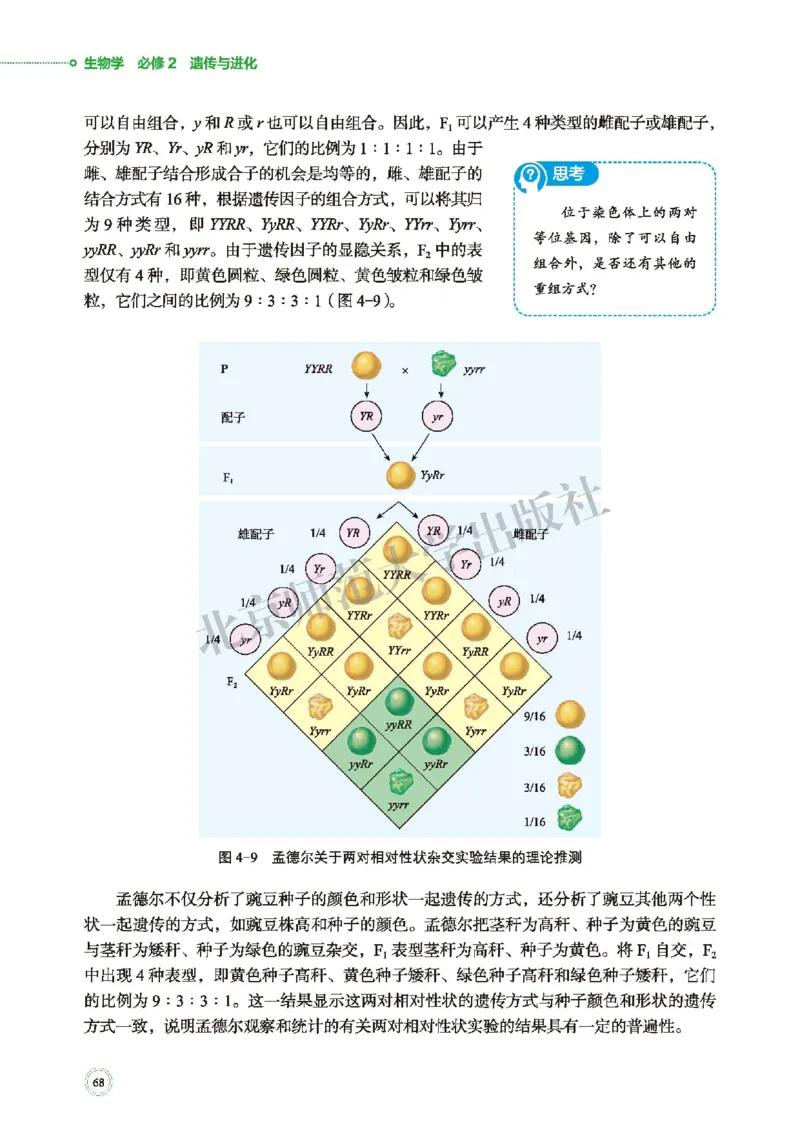 北师大生物必修2高清教材_4-教培资料-26年最新资料-同步更新_初中高中教资_03科三专项（进去保存报考的学科即可）_02科三专项（笔记真题思维导图教学设计版本二）