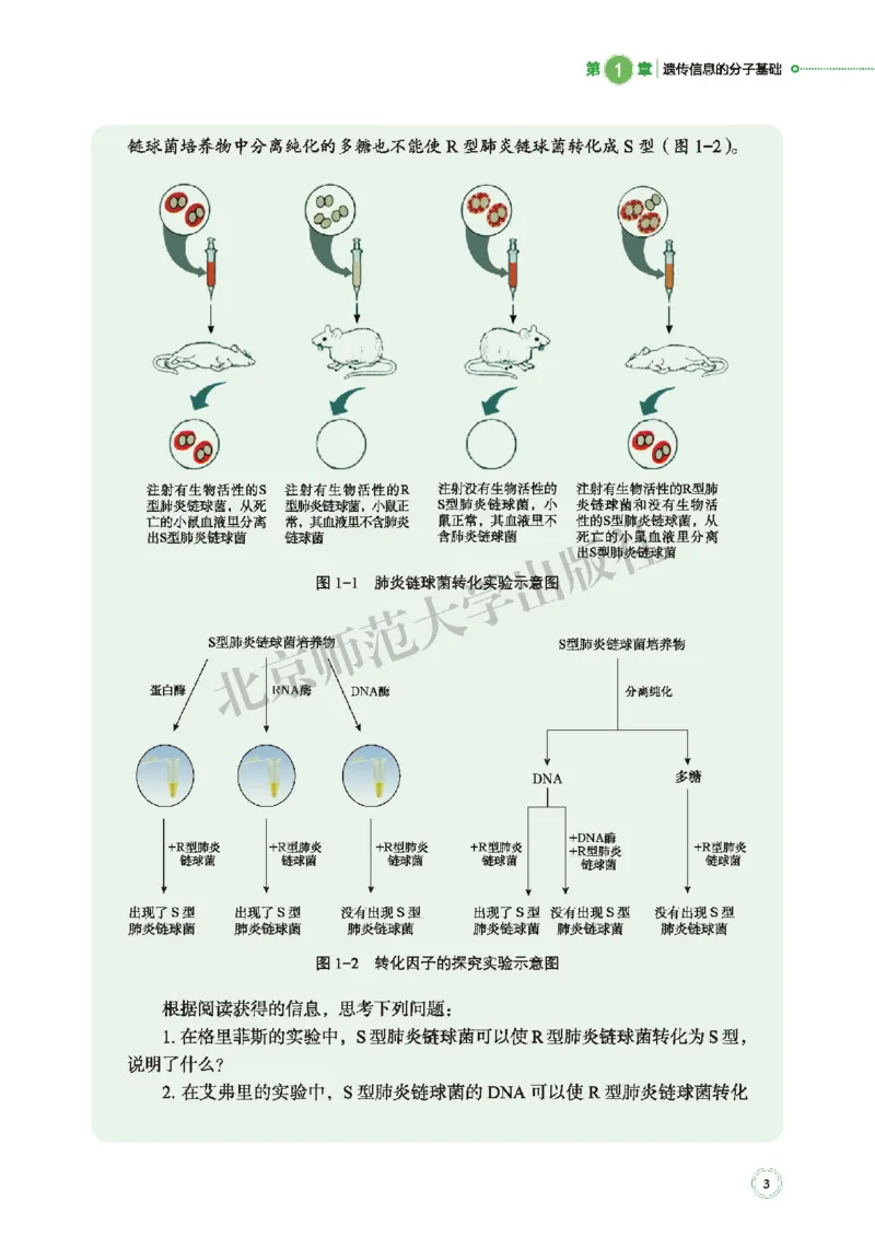 北师大生物必修2高清教材_4-教培资料-26年最新资料-同步更新_初中高中教资_03科三专项（进去保存报考的学科即可）_02科三专项（笔记真题思维导图教学设计版本二）