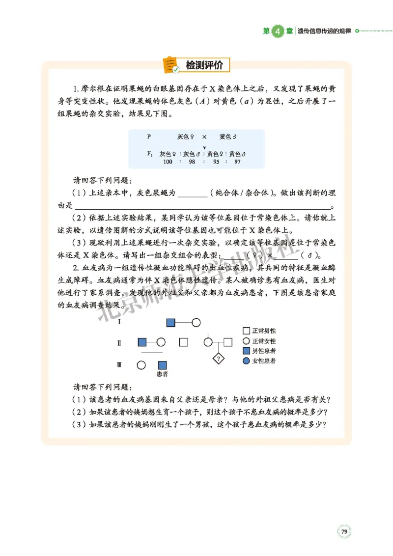 北师大生物必修2高清教材_4-教培资料-26年最新资料-同步更新_初中高中教资_03科三专项（进去保存报考的学科即可）_02科三专项（笔记真题思维导图教学设计版本二）