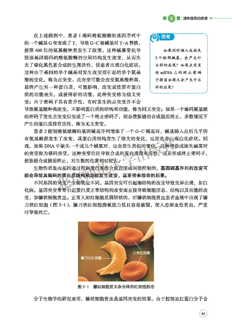 北师大生物必修2高清教材_4-教培资料-26年最新资料-同步更新_初中高中教资_03科三专项（进去保存报考的学科即可）_02科三专项（笔记真题思维导图教学设计版本二）