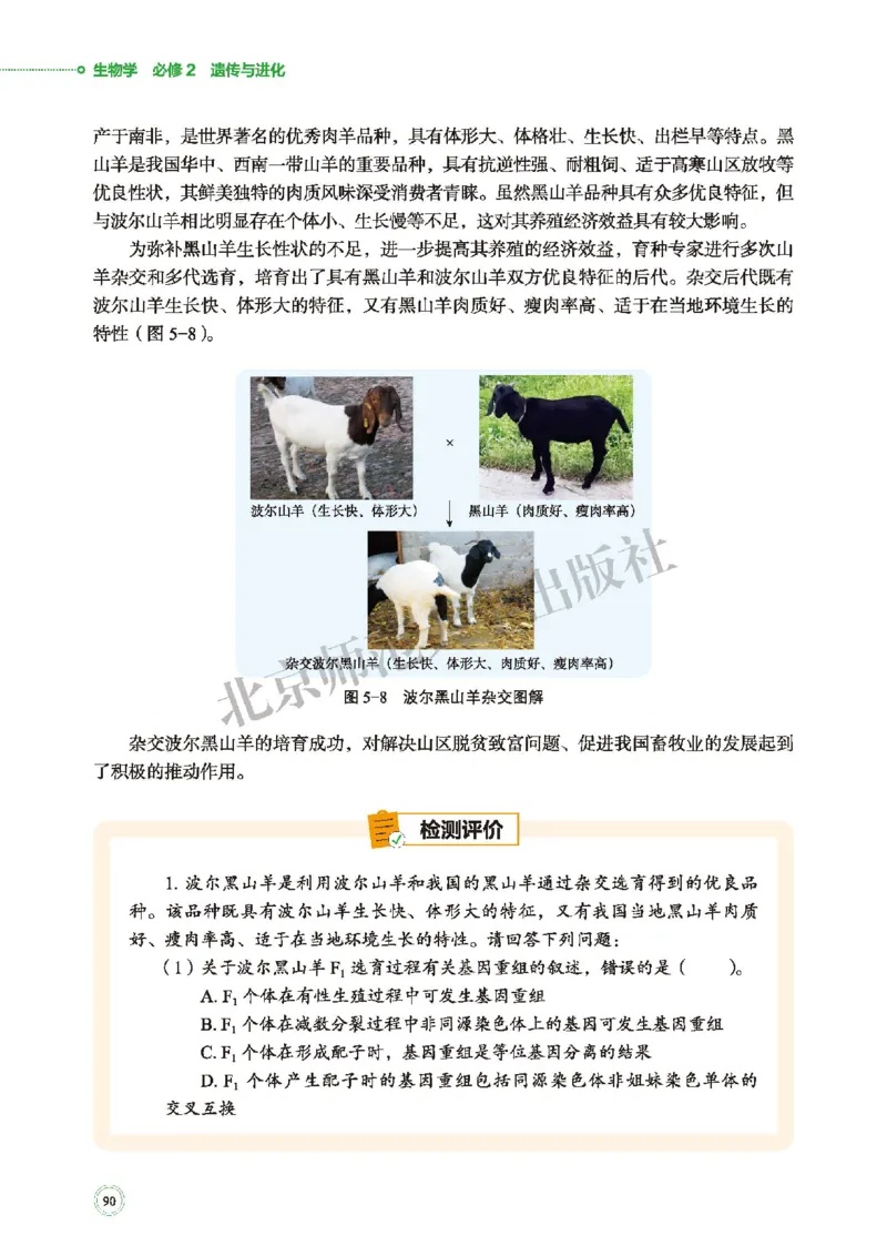 北师大生物必修2高清教材_4-教培资料-26年最新资料-同步更新_初中高中教资_03科三专项（进去保存报考的学科即可）_02科三专项（笔记真题思维导图教学设计版本二）