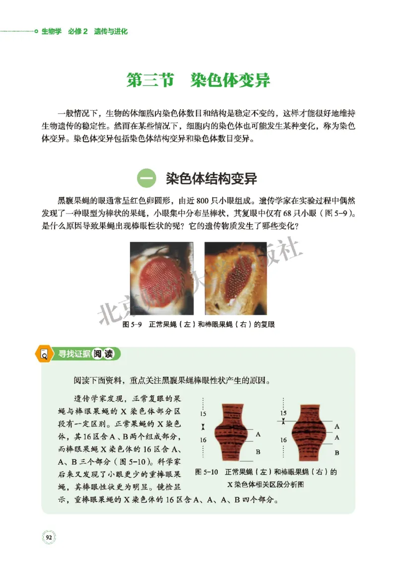 北师大生物必修2高清教材_4-教培资料-26年最新资料-同步更新_初中高中教资_03科三专项（进去保存报考的学科即可）_02科三专项（笔记真题思维导图教学设计版本二）