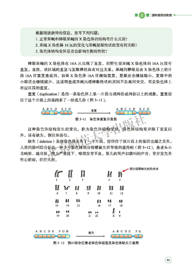 北师大生物必修2高清教材_4-教培资料-26年最新资料-同步更新_初中高中教资_03科三专项（进去保存报考的学科即可）_02科三专项（笔记真题思维导图教学设计版本二）