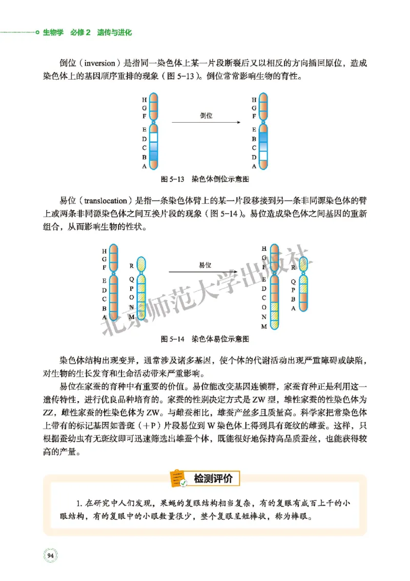 北师大生物必修2高清教材_4-教培资料-26年最新资料-同步更新_初中高中教资_03科三专项（进去保存报考的学科即可）_02科三专项（笔记真题思维导图教学设计版本二）
